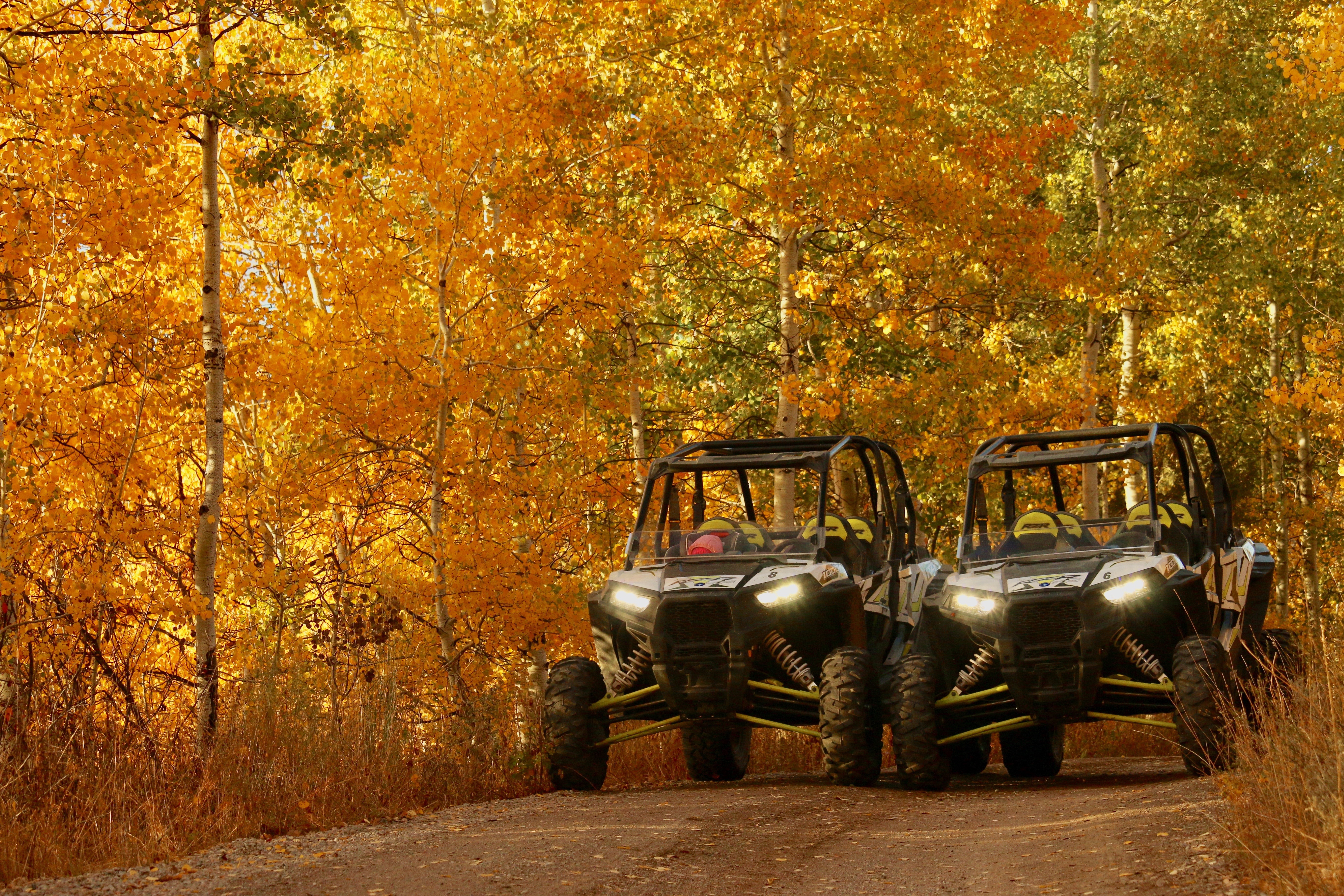 Fall in love with Autumn in Bear Lake Valley