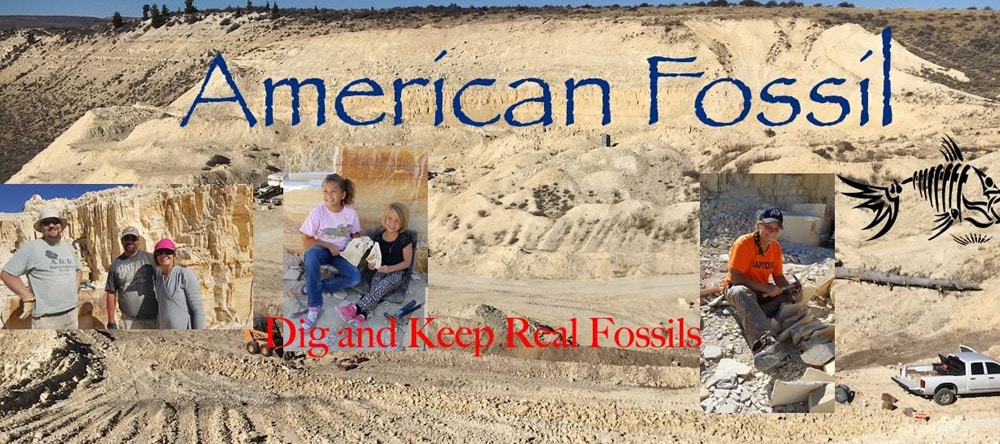 American Fossil Pit Kemmerer Wyoming