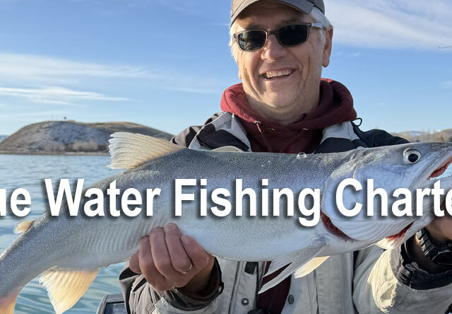 Blue Water Charters