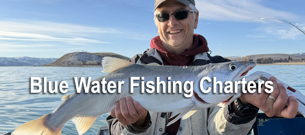 Blue Water Charters in Bear Lake Utah and Idaho