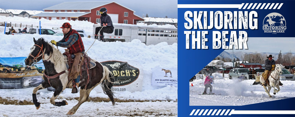 Skijoring The Bear horse and skier in Garden City Utah