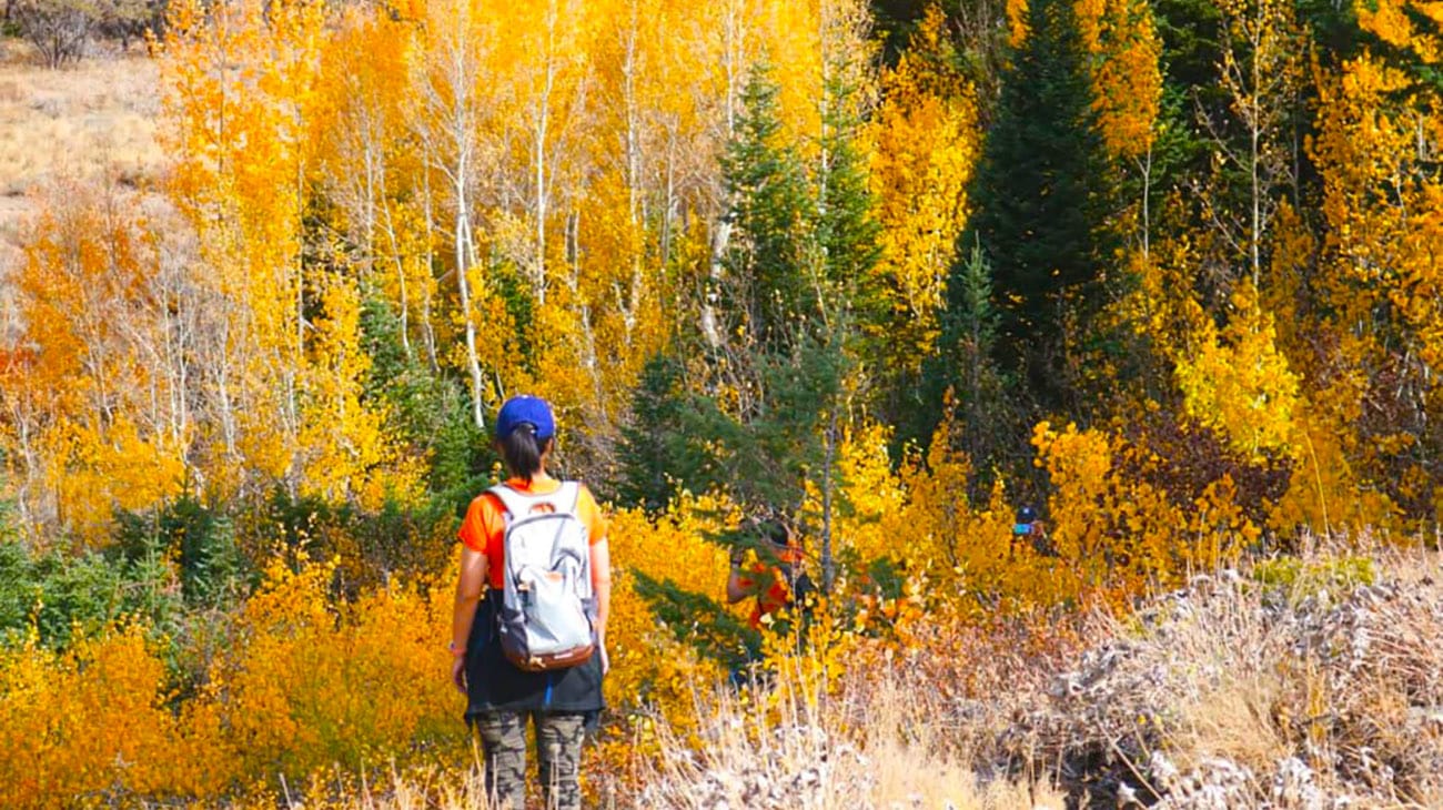 8 Beautiful Fall Hikes in the Bear Lake Valley