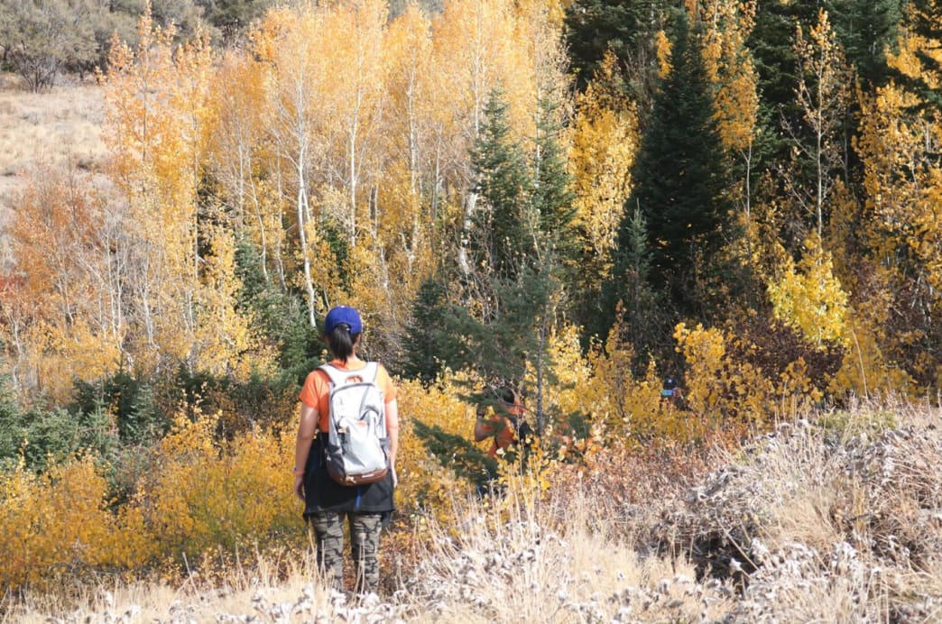 8 Beautiful Fall Hikes in the Bear Lake Valley