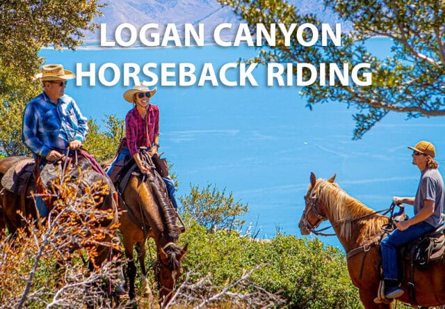Logan Canyon Horseback Riding