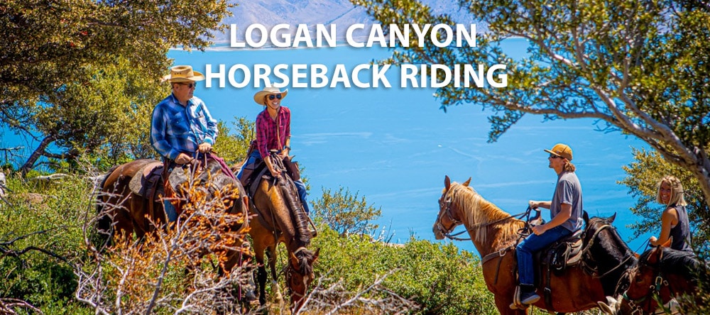 Logan Canyon Horse Back Riding Trips