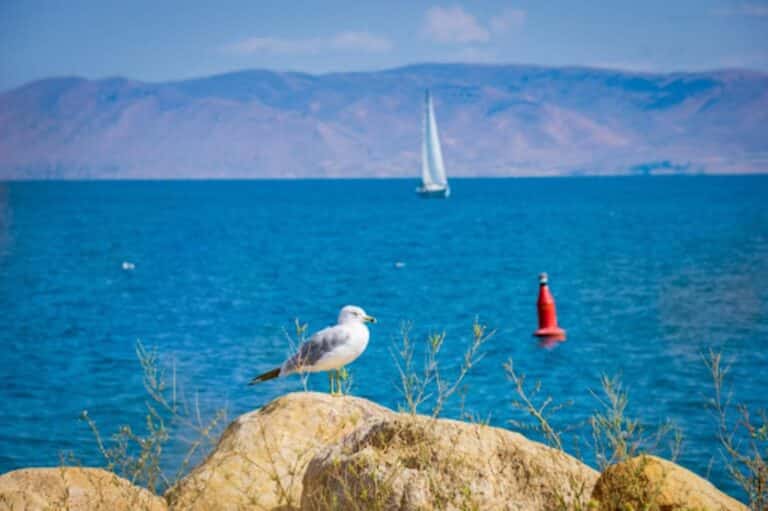 A History & Landmarks Tour Bear Lake Valley CVB Utah and Idaho